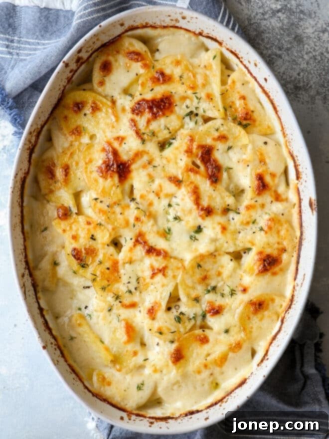 Close-up of golden brown, creamy cheesy scalloped potatoes in a baking dish
