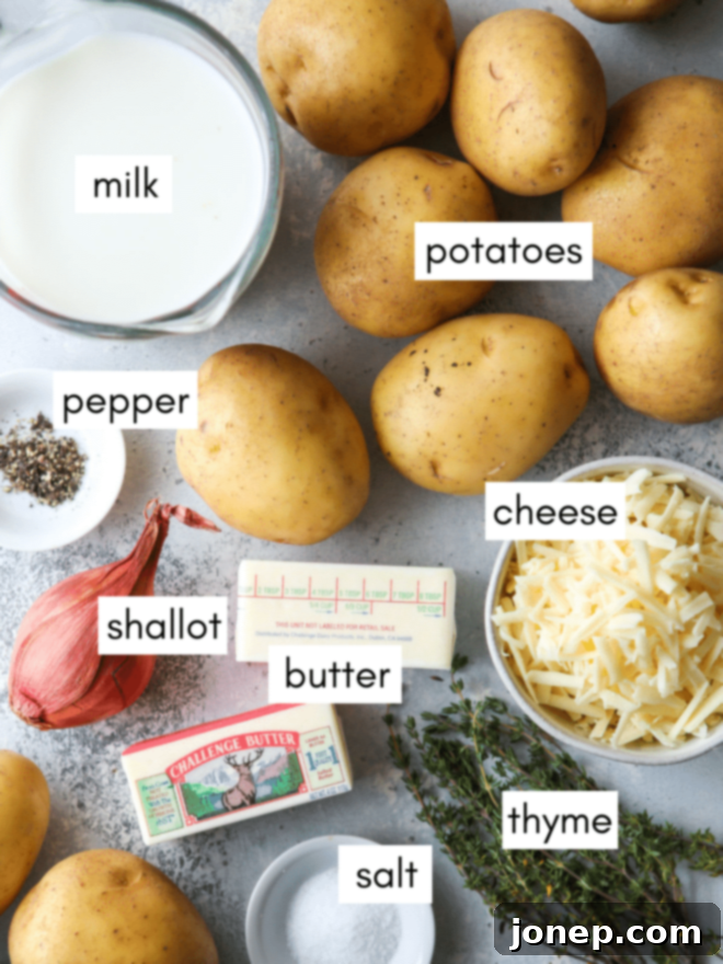 Overhead shot of creamy scalloped potatoes, showing the layers and cheesy top