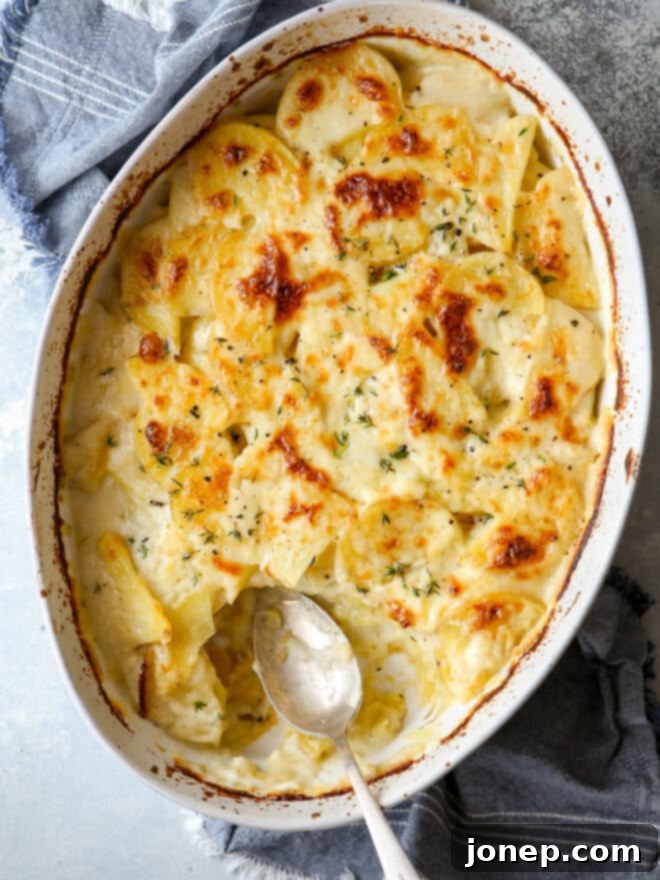 Side shot of scalloped potatoes with a fork taking a piece