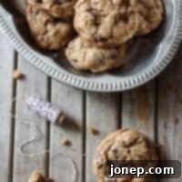 Wholesome Chocolate Hazelnut Delights 2 Whole Wheat Chocolate Chip and Hazelnut Cookies