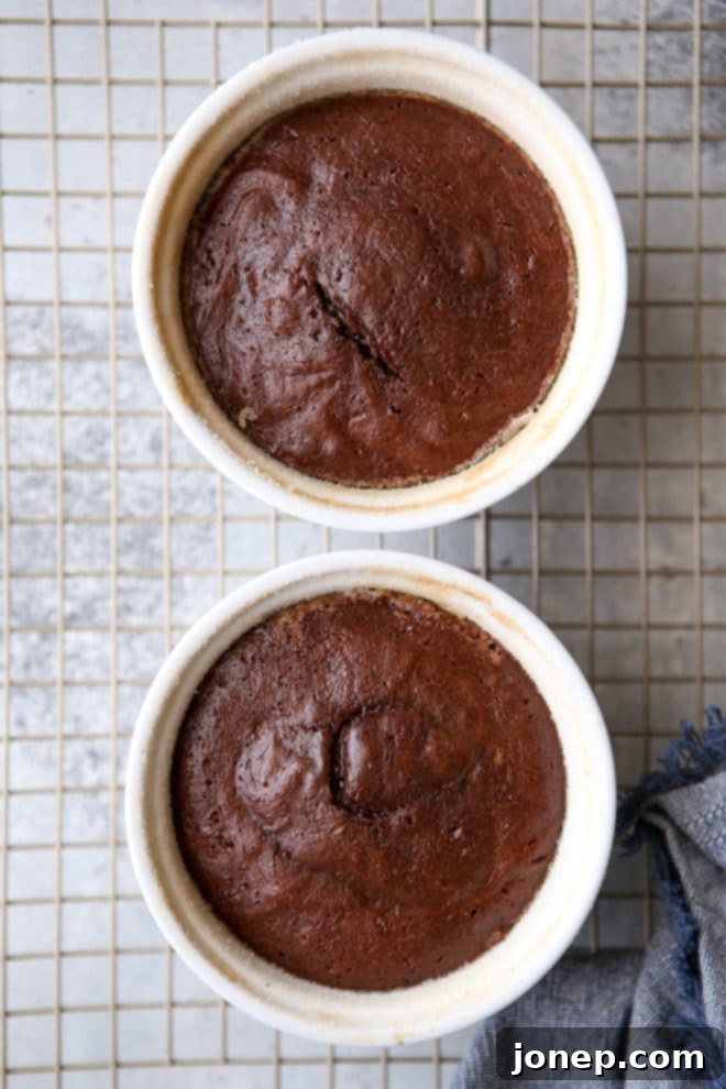 These individual chocolate cakes have a rich and gooey chocolate center!