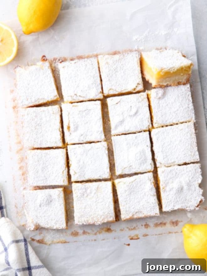 Individual lemon bars arranged on a white plate, highlighting their distinct layers and powdered sugar topping.