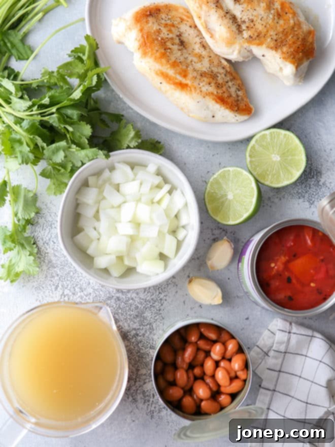 Close-up of a rustic bowl of chicken tortilla soup, showcasing the rich broth, shredded chicken, and pinto beans, ready for toppings.
