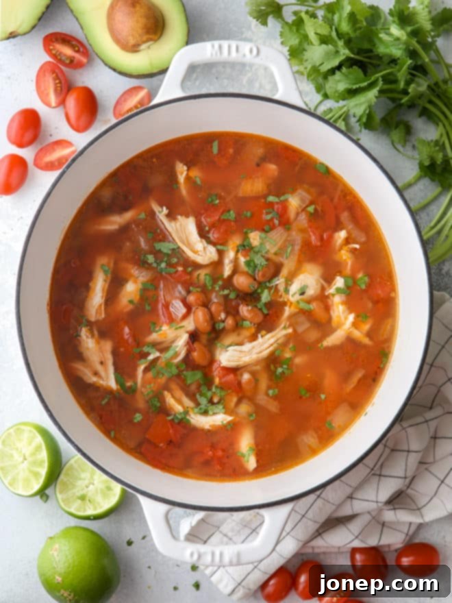 A vibrant overhead shot of chicken tortilla soup with all the fixings, including lime wedges, cilantro, and crunchy tortilla strips.