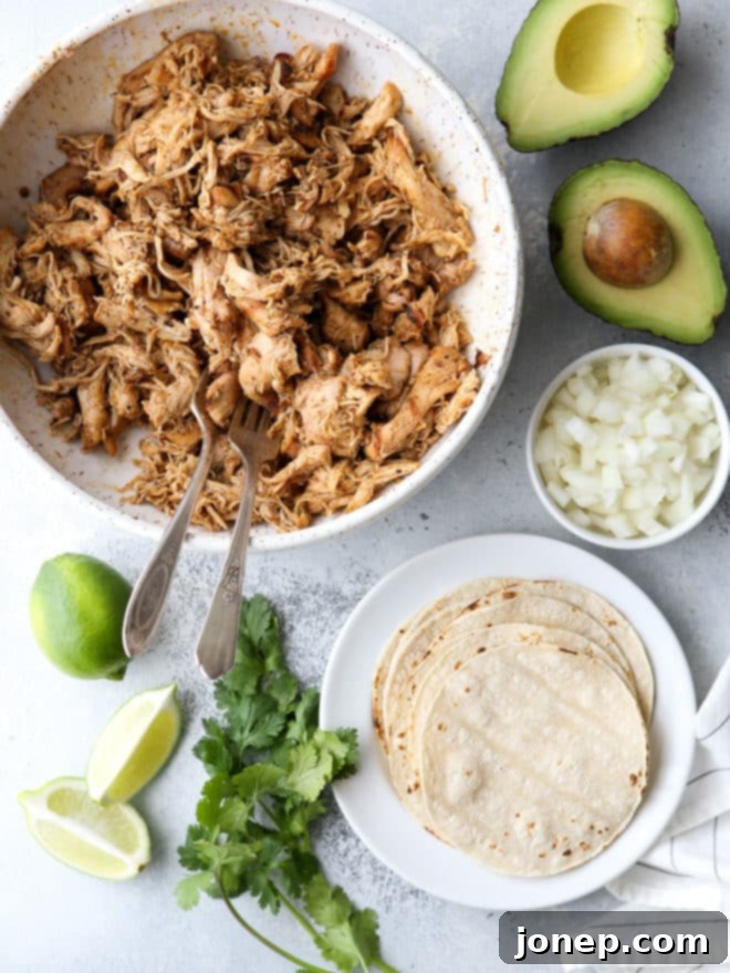 Serve shredded chicken street tacos with chopped onions, avocado, and fresh cilantro
