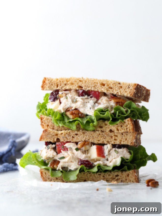 This delicious chicken salad is filled with shredded chicken, chopped pecans, diced apples, dried cherries, and a rosemary scented dressing.