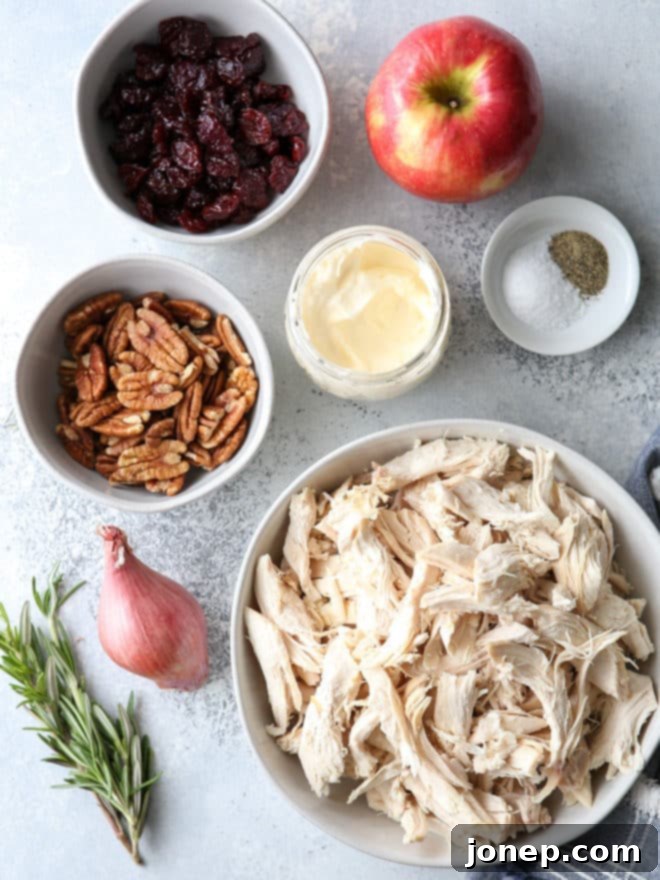 This delicious chicken salad is filled with shredded chicken, chopped pecans, diced apples, dried cherries, and a rosemary scented dressing.