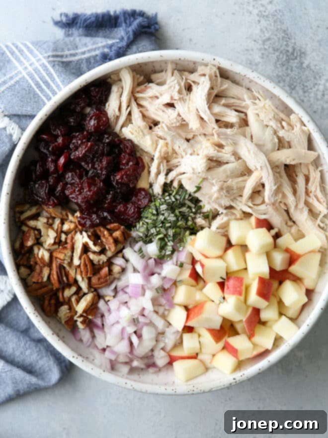 This delicious chicken salad is filled with shredded chicken, chopped pecans, diced apples, dried cherries, and a rosemary scented dressing.