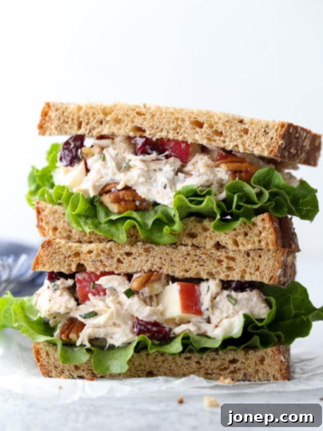 This delicious chicken salad is filled with shredded chicken, chopped pecans, diced apples, dried cherries, and a rosemary scented dressing.