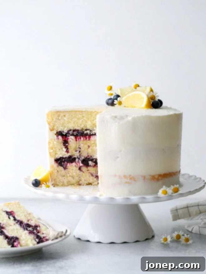 A beautifully decorated light and tender lemon blueberry cake, generously filled with fresh blueberry preserves and frosted with silky lemon buttercream.