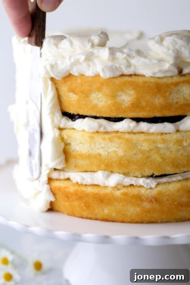 A close-up view of the tender lemon blueberry cake layers with creamy lemon buttercream and vibrant blueberry filling