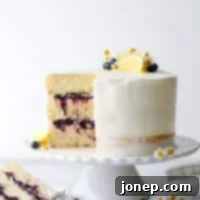 Lemon Blueberry Cake 6 This light and tender lemon butter cake is filled with fresh blueberry preserves and frosted with silky lemon buttercream.