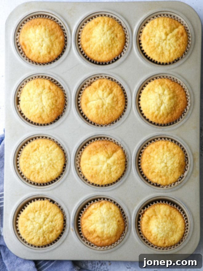 Delicate vanilla cupcakes