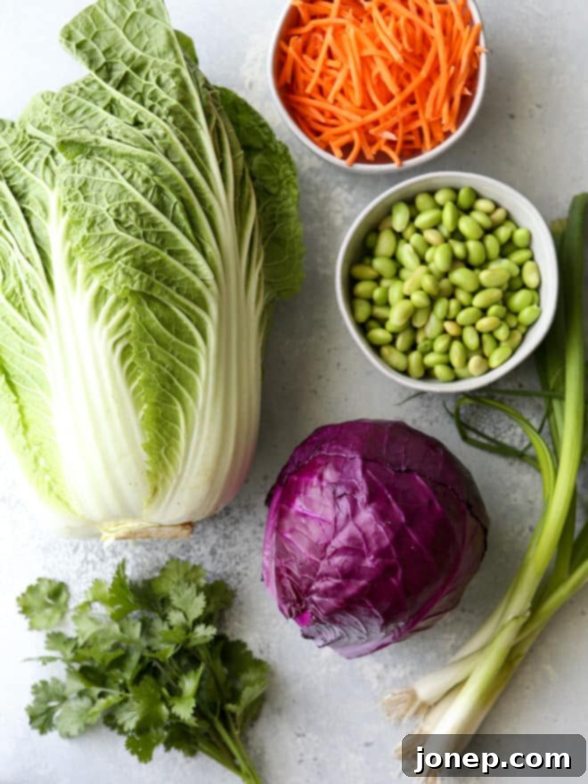 This Asian ramen cabbage salad is filled with napa and purple cabbage, shredded carrots, scallions, shelled edamame, crunchy ramen noodles, slivered almonds and a peanut sesame dressing.