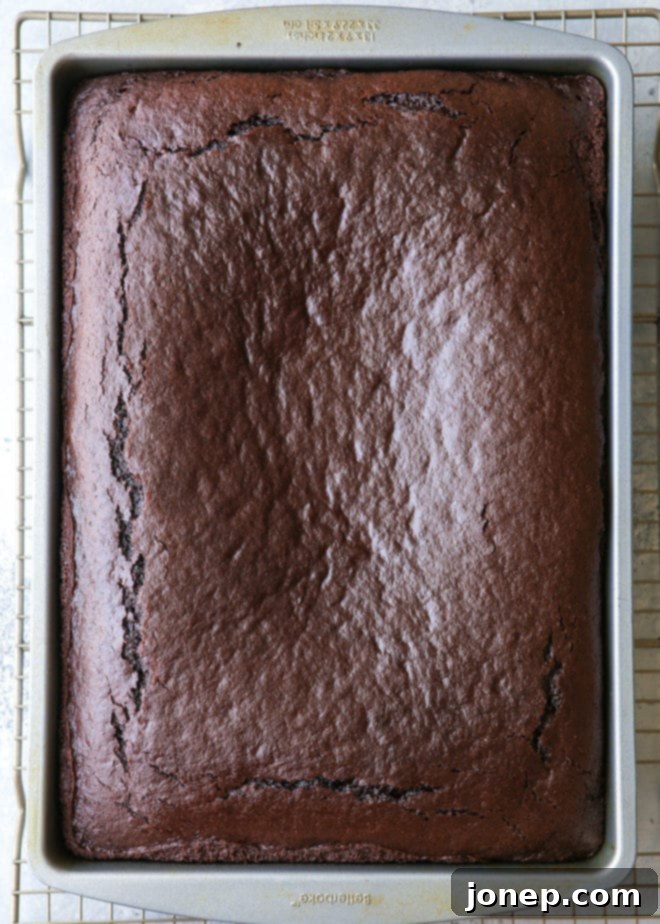 Simple chocolate sheet cake can be baked in a 9x13 pan or half sheet pan.