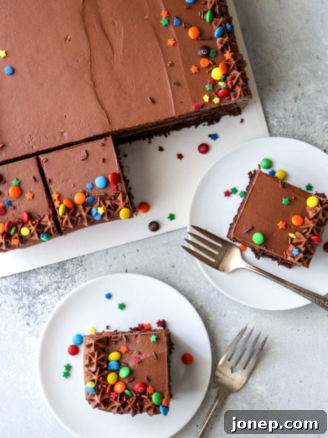 This one-bowl chocolate sheet cake with easy fudge frosting is for all of you chocolate lovers!