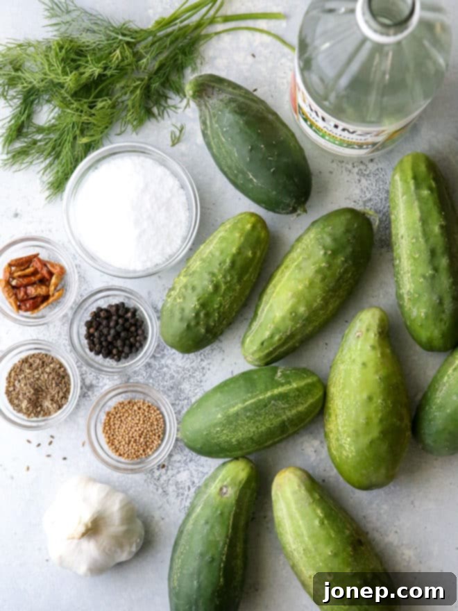 All the ingredients need to make quick pickles