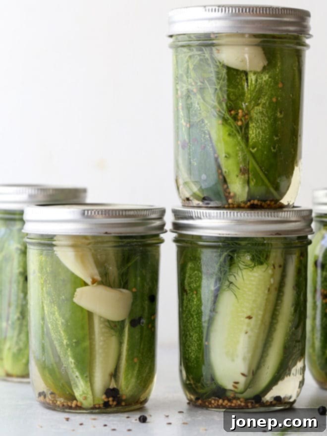 These quick refrigerator dill pickles are easy to make and require no special equipment! They're fresh and crunchy, with just the right flavor of garlic and dill.