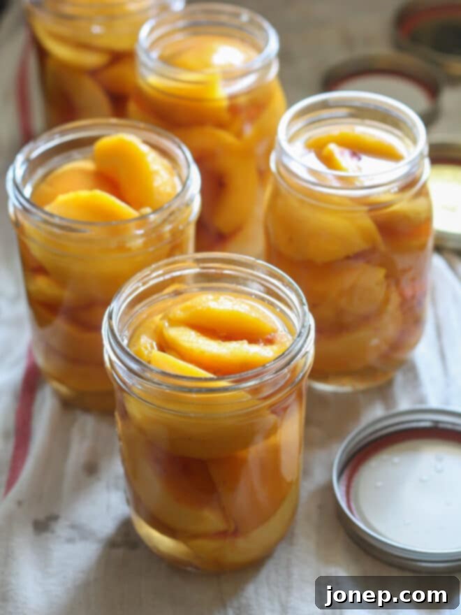 Preserving Summer: A Guide to Canning Peaches 2 Freshly canned peaches, perfectly arranged in jars, ready for water bath processing