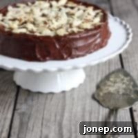 Decadent Chocolate Almond Cake 2 Julia Child's Chocolate Almond Cake