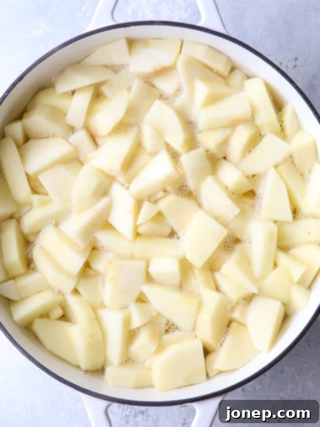 Blanched apple slices, briefly cooked to prepare them for pie filling.