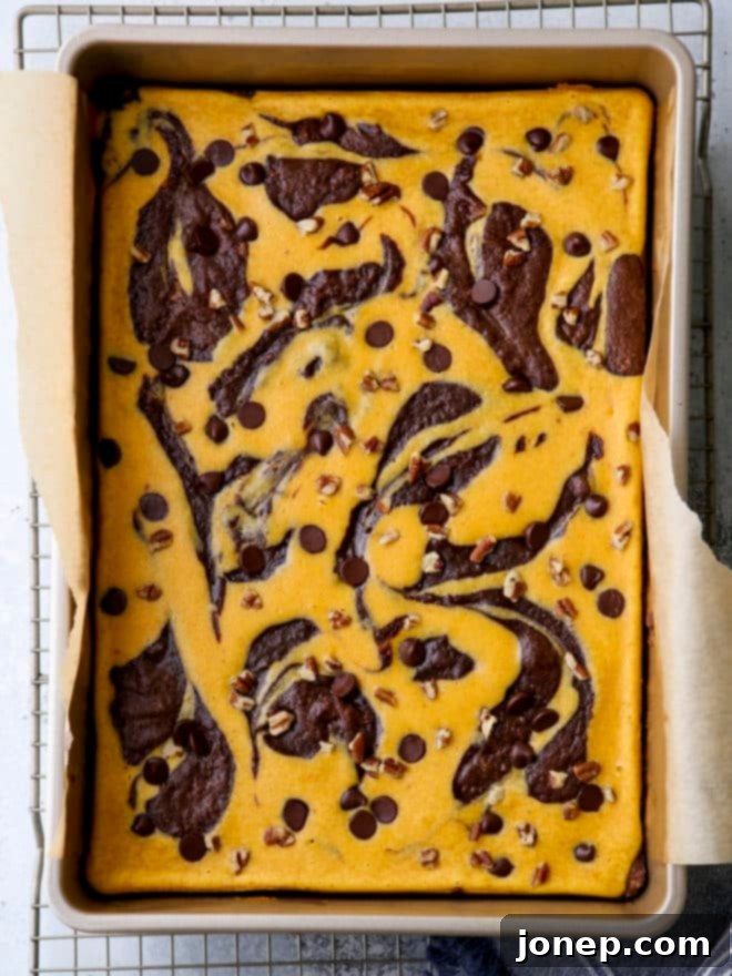 Uncut pumpkin cheesecake swirl brownies in a baking pan, showing the top crust and swirl before slicing