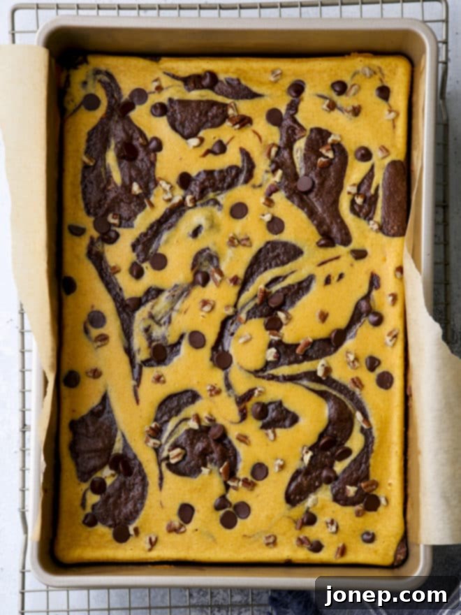 Full pan of pumpkin cheesecake swirl brownies, uncut, showing the top swirl pattern