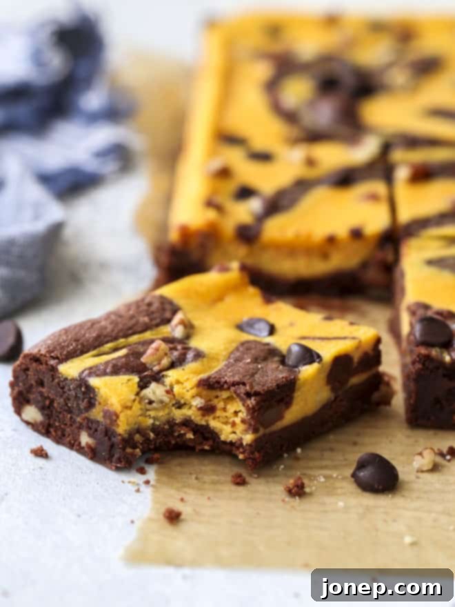 A bite taken out of a pumpkin cheesecake swirl brownie, revealing the fudgy chocolate and creamy pumpkin layers
