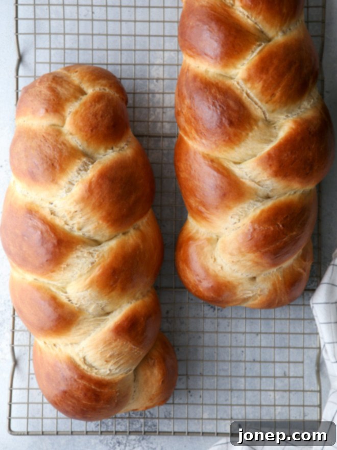Light, tender, and super flavorful braided egg bread, perfect for any meal