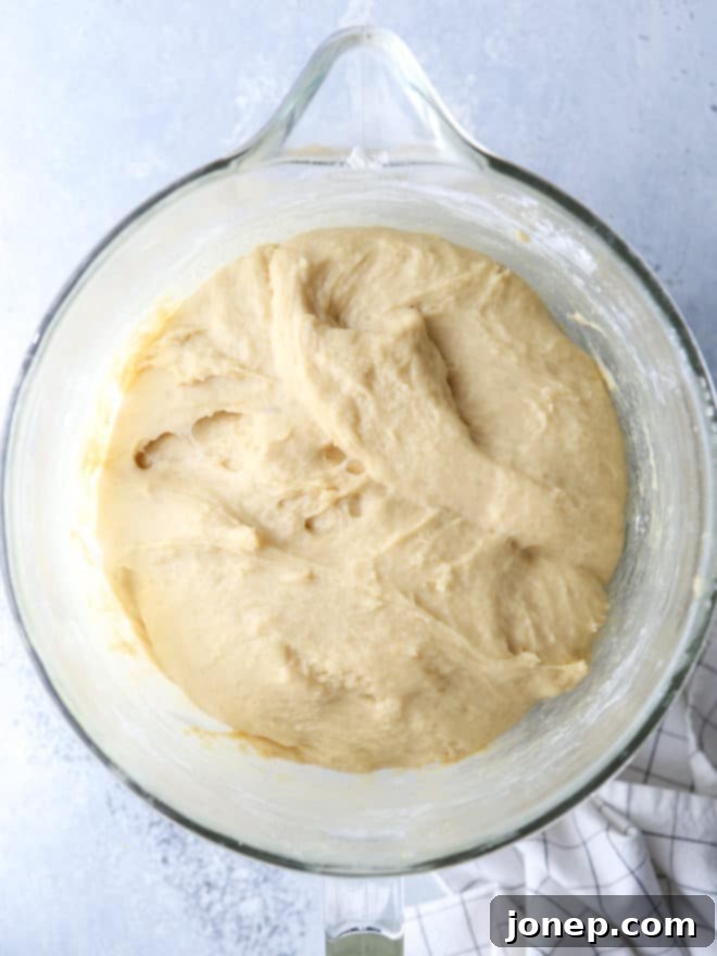 Braided egg bread dough rising in a mixing bowl, ready for shaping