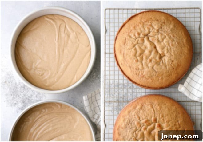 Brown sugar and cinnamon cake layers before and after baking
