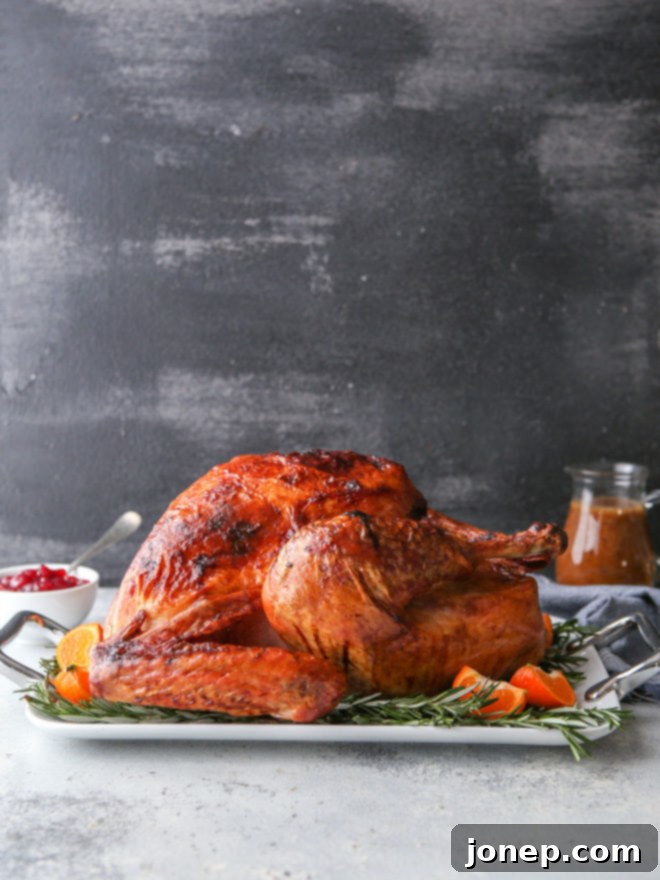 The Perfect Golden Roasted Turkey 3 This dry-brined roasted turkey promises incredible flavor, super juicy meat, and the most beautiful crispy skin – truly the only turkey recipe you'll ever need for holidays.