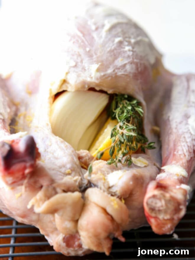 The Perfect Golden Roasted Turkey 7 Close-up of a turkey cavity stuffed with fresh aromatics like onion, lemon, and herbs, ready for roasting.