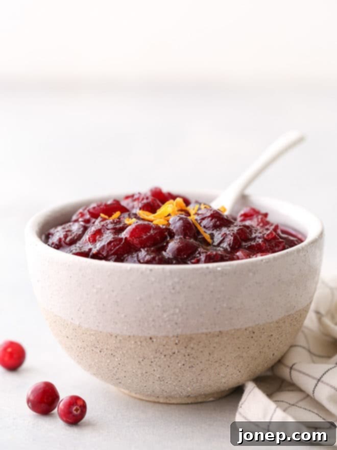 Zesty Spiced Cranberry Relish 11 A vibrant bowl of homemade citrus spice cranberry sauce, garnished with fresh cranberries and orange zest, ready to be served. Made with just 6 ingredients in 15 minutes.