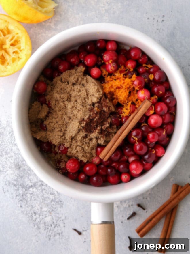 Zesty Spiced Cranberry Relish 3 The six essential ingredients for citrus spice cranberry sauce laid out: fresh cranberries, brown sugar, orange juice, orange zest, a cinnamon stick, and ground cloves.