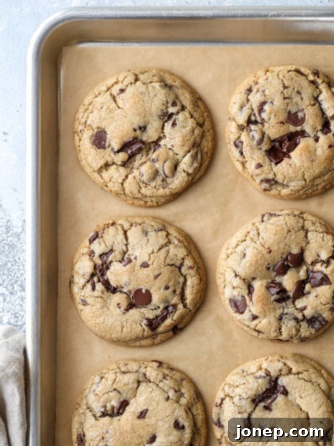 Close-up of baked chai spice chocolate chip cookies on a cooling rack