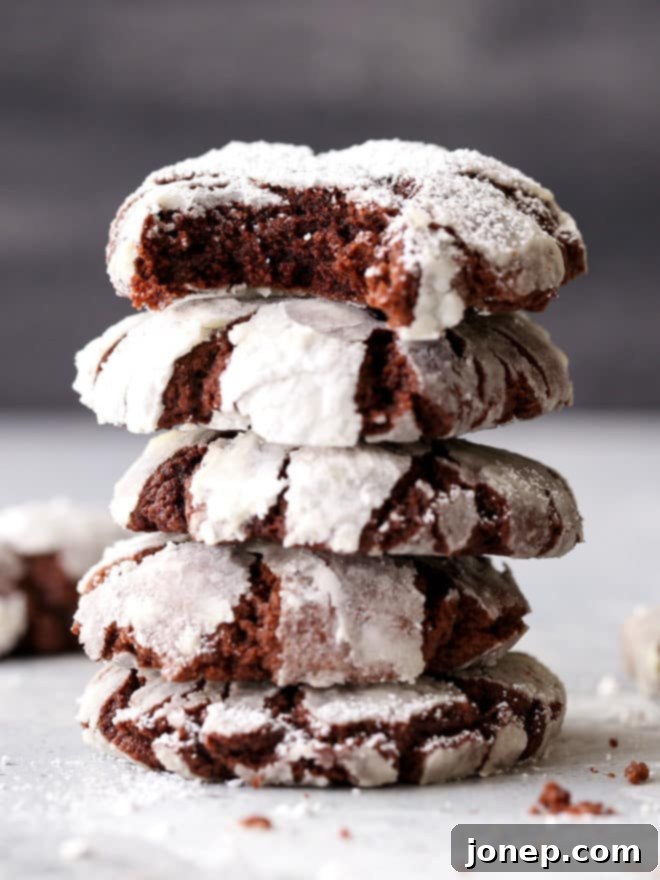 Rich and fudgy chocolate crinkle cookies with a hint of coffee and cinnamon that makes them intensely chocolaty and completely irresistible!