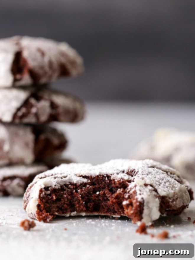 These rich and fudgy chocolate crinkle cookies have a hint of coffee and cinnamon that sets them apart. They're simply irresistible!