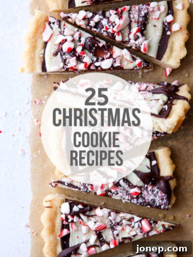25 Festive Cookie Creations and Expert Baking Hacks 2 Assortment of festive Christmas cookies on a holiday platter, including gingerbread, chocolate chip, and sugar cookies, ready for sharing.