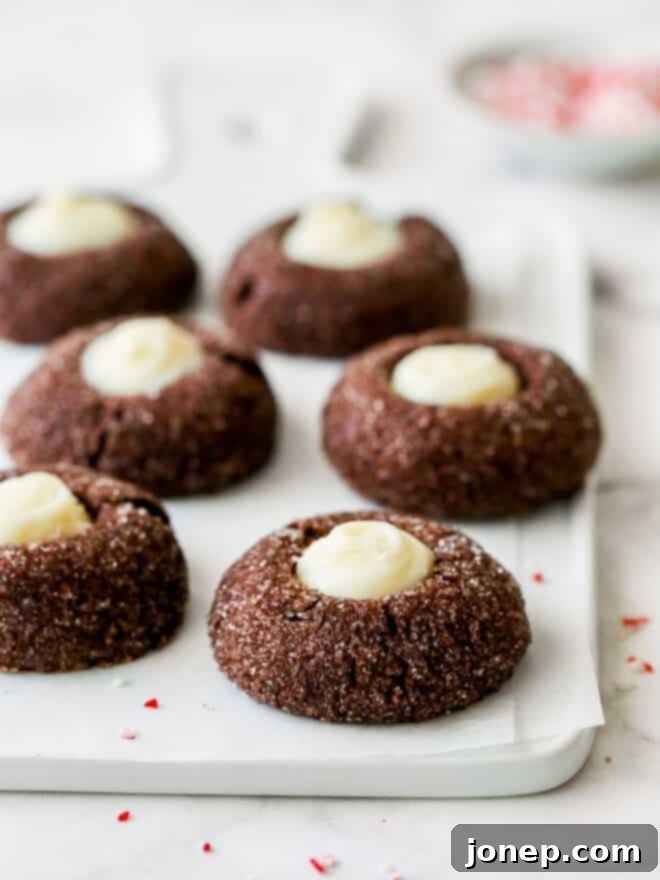 25 Christmas Cookie Recipes and My Best Cookie Tips 3 chocolate mint thumbprint cookies on a platter