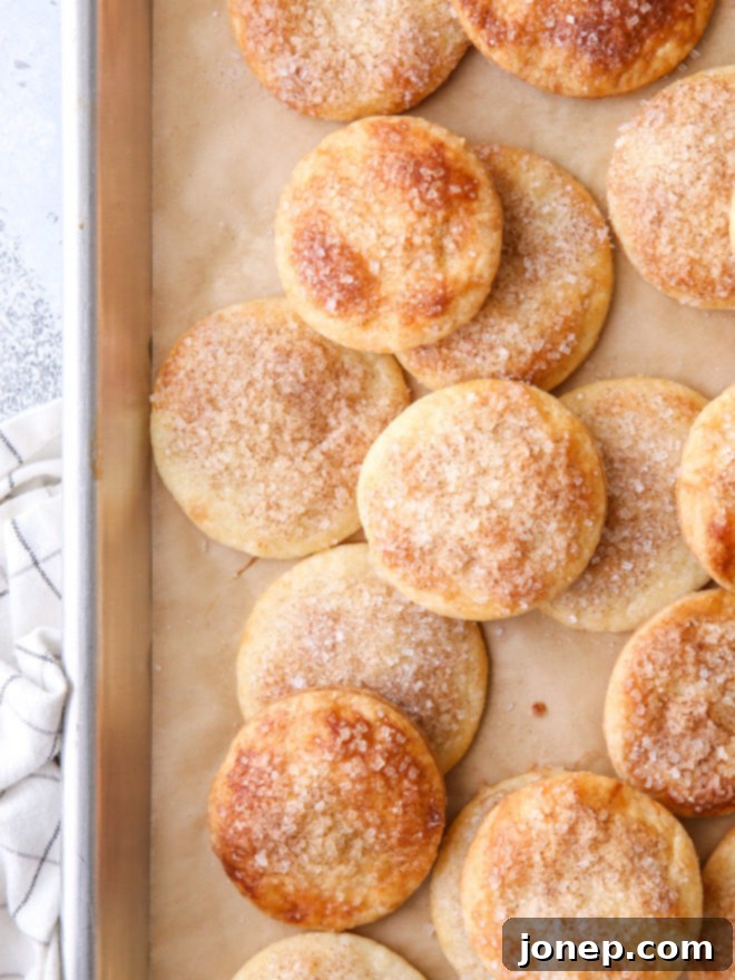 A plate of various shaped pie crust cookies, some round, some star-shaped, all golden and sprinkled with cinnamon sugar, ready to be enjoyed.