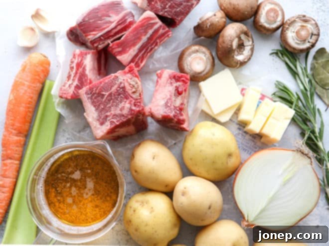 Ingredients for beer braised short ribs