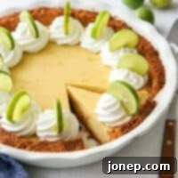 The Zesty Heart of the Florida Keys 10 sliced key lime pie in pie pan