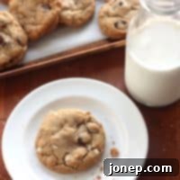 Wholesome Chocolate Chip Coconut Cookies 2 Coconut Oil and Whole Wheat Chocolate Chip Cookies