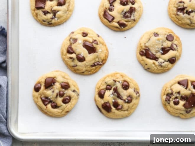 Irresistibly Chewy Chocolate Chip Cookies 3 chocolate chip cookies fresh from the oven on a cooling rack