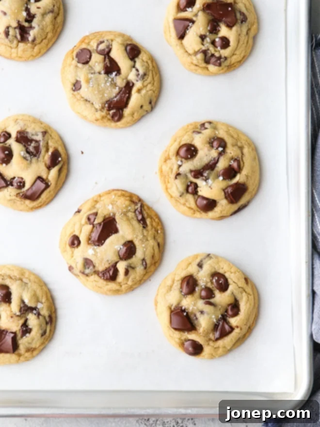Irresistibly Chewy Chocolate Chip Cookies 7 Close-up of a perfectly baked chocolate chip cookie