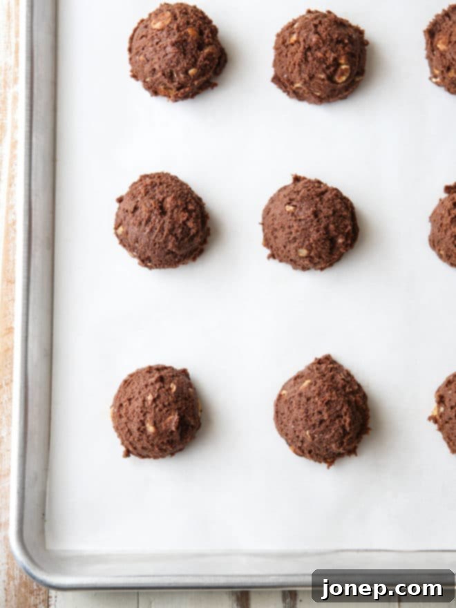 Delicious Chocolate Hazelnut Cookies Recipe Guide | completelydelicious.com