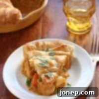 Coconut Curried Chicken Pot Pie 2 Coconut Curry Chicken Pot Pie