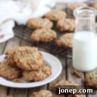 Guilt-Free Granola Morning Treats 2 Granola Breakfast Cookies