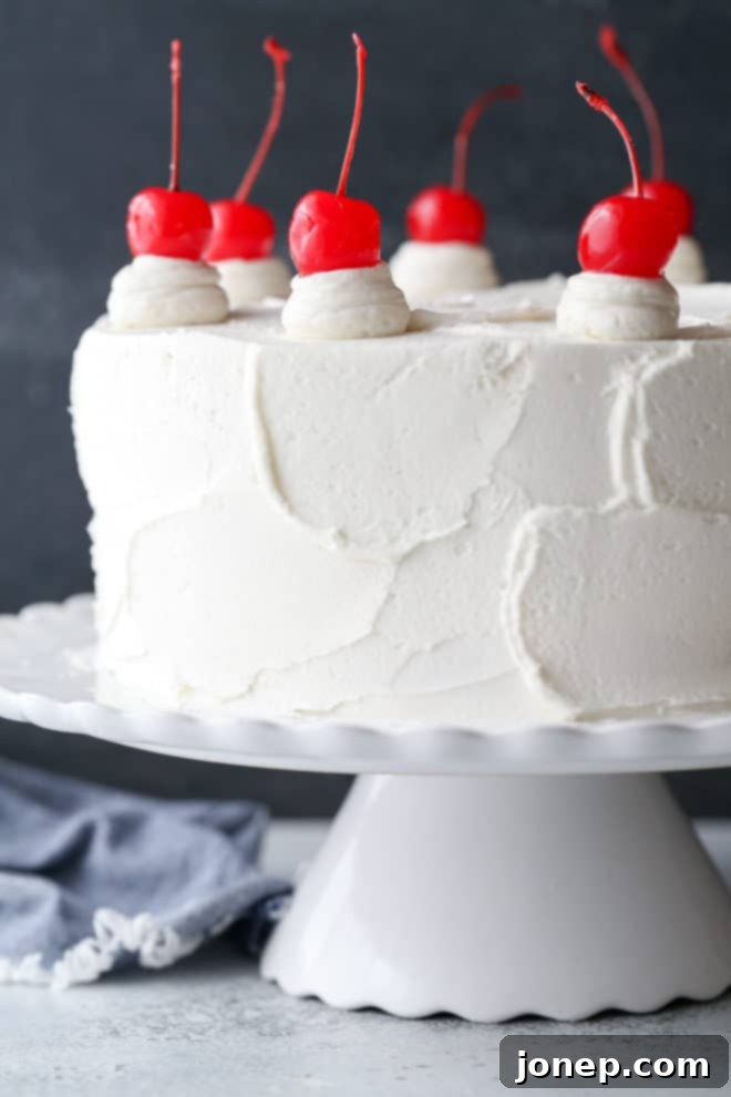 Cherry Chocolate Chip Cake 8 This homemade cherry chip cake, beautifully smothered in a fluffy whipped vanilla buttercream, is a delightful from-scratch version of a popular boxed cake mix. It’s also the perfect celebration cake for any occasion!